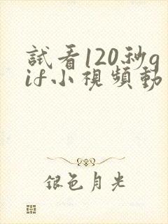 试看120秒gif小视频动态图