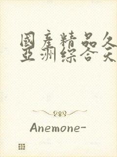 国产精品久久久亚洲综合天堂