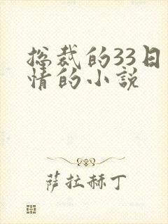 总裁的33日索情的小说
