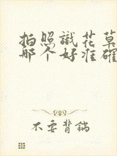 拍照识花草软件哪个好准确