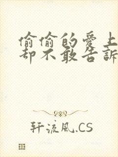 偷偷的爱上你,却不敢告诉你歌词