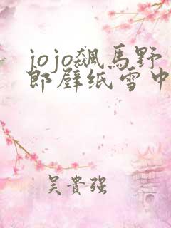 jojo飙马野郎壁纸雪中对饮