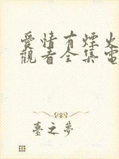 爱情有烟火免费观看全集电视剧完整版