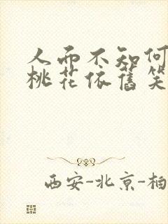 人面不知何处去桃花依旧笑春风意思