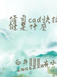 修剪cad快捷键是什么