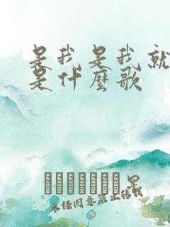 是我是我就是我是什么歌