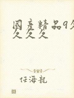 国产精品9久久久久久