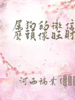 属狗的微信用什么头像旺财