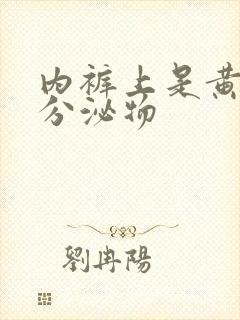 内裤上是黄色的分泌物