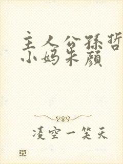 主人公孙哲叶巧小妈朱颜