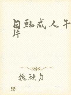 日韩成人午夜毛片