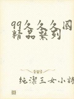 99久久久国产精品系列