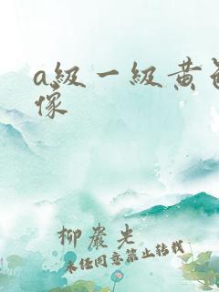 a级一级黄色录像