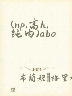 (np,高h,纯肉)abo