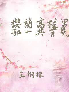 樱兰高校男公关部一共有几季