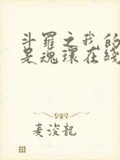 斗罗之我的武魂是魂环在线阅读