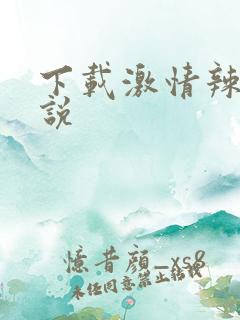 下载激情辣文小说