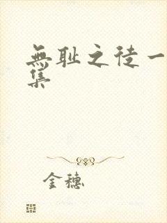 无耻之徒一共几集