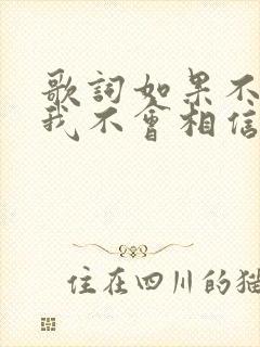 歌词如果不是你我不会相信