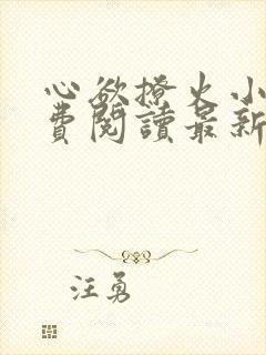 心欲撩火小说免费阅读最新章节