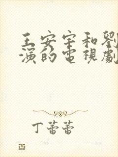 王安宇和刘浩存演的电视剧叫什么名字