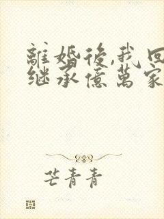 离婚后,我回家继承亿万家产了全本阅读