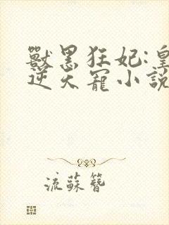 兽黑狂妃:皇叔逆天宠小说看