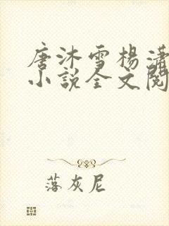 唐沐雪杨潇免费小说全文阅读