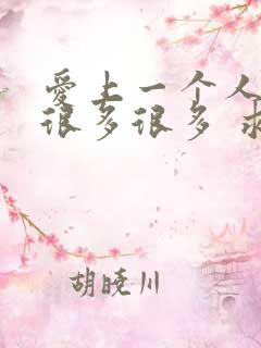 爱上一个人付出很多很多 求歌名