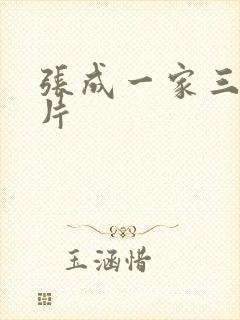 张成一家三口照片