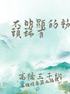 不明显的动漫情头稀有