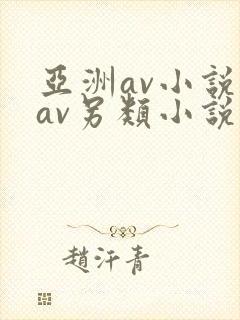 亚洲av小说区av另类小说