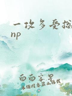 一攻多受总攻文np