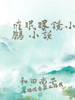 催眠眼镜小说王鹏 小说