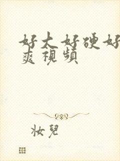 好大好硬好湿好爽视频