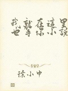 我就在这里等风也等你小说免费阅读