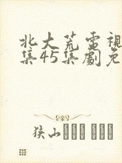 北大荒电视剧全集45集剧免费观看