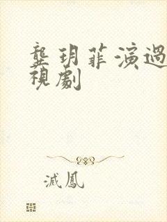 龚玥菲演过的电视剧