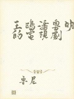 王鸥潘粤明主演的电视剧