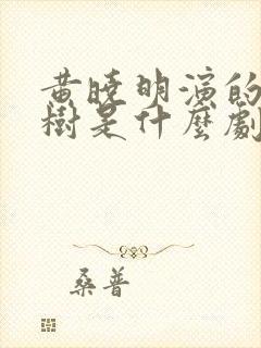 黄晓明演的方嘉树是什么剧