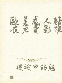 欧美成人精品午夜免费影视