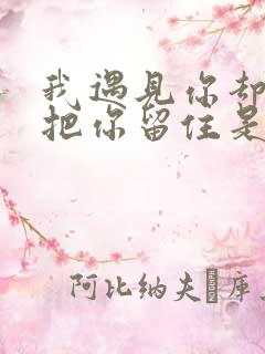 我遇见你却没能把你留住是什么歌