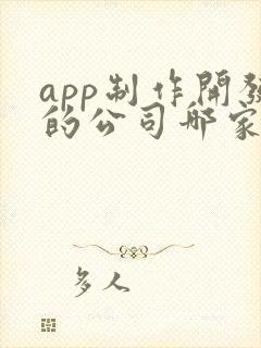 app制作开发的公司哪家好