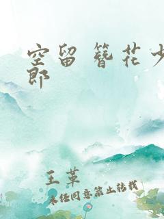 空留 簪花少年郎