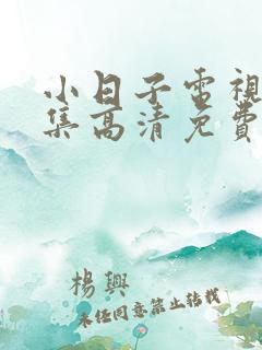 小日子电视剧全集高清免费播放