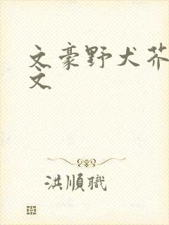文豪野犬芥敦甜文