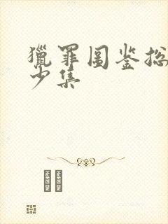 猎罪图鉴总共多少集