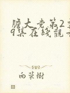 胆大党第2季第9集在线观看