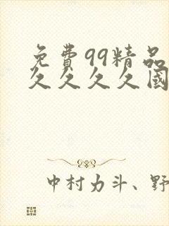 免费99精品久久久久久国产