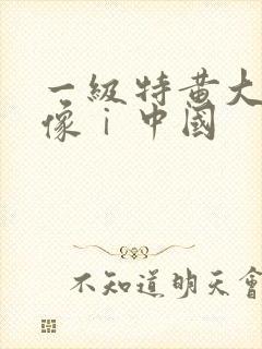 一级特黄大片录像ⅰ中国